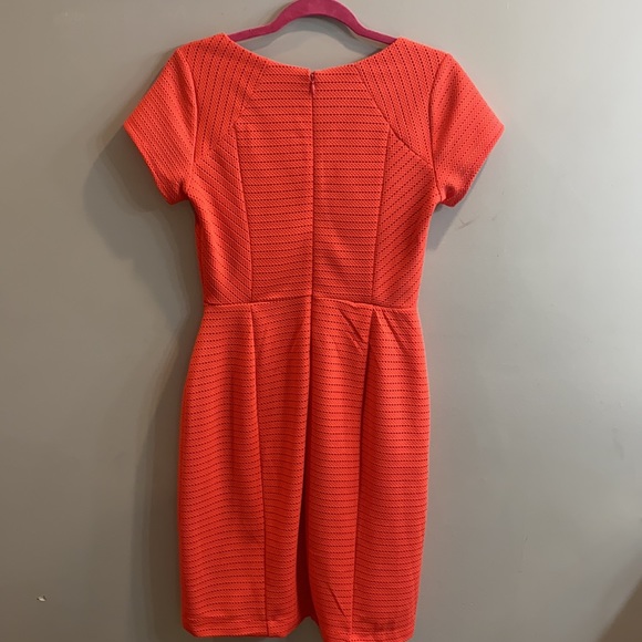 Tailored Dress - Picture 3 of 3